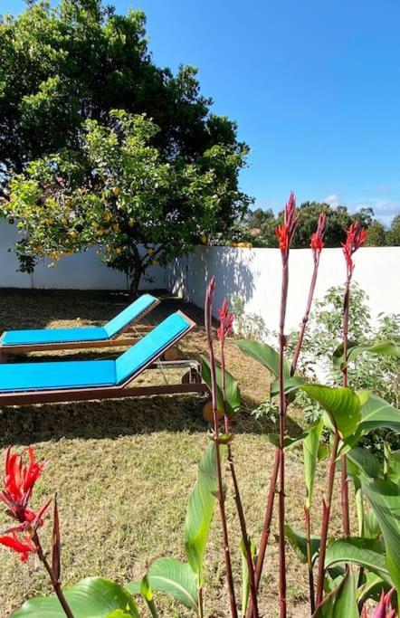 Terra Da Lagoa - Villa Near The Beach & Lagoon Nadadouro Екстериор снимка